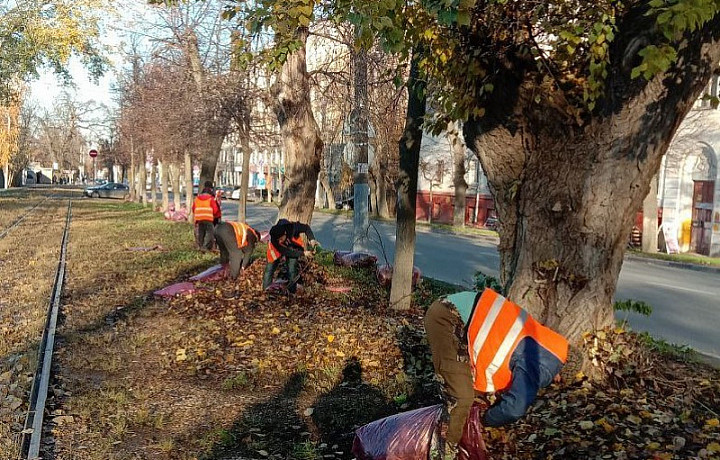 В Туле за сутки вывезли 200 кубометров листвы