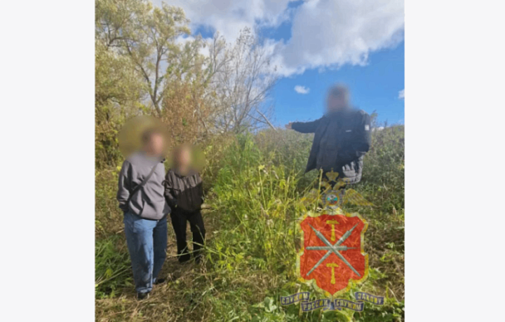 В квартире белевца нашли 459 граммов наркотика и сто кустов запрещенного растения