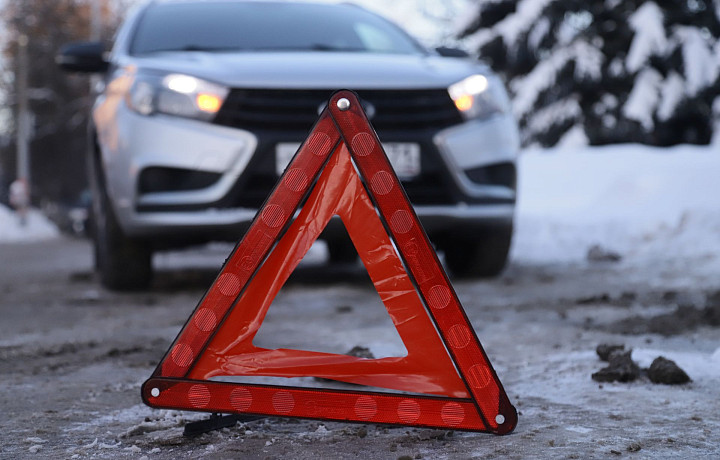 За сбитого голубя тульским водителям грозит штраф в 600 рублей