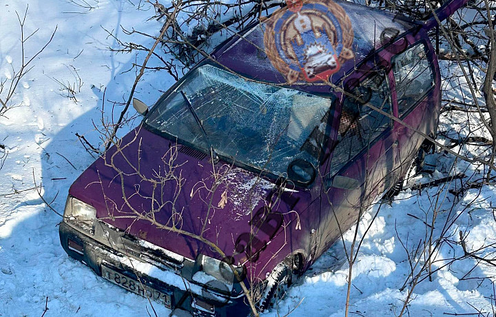 Автоледи "улетела" в кювет в Узловском районе