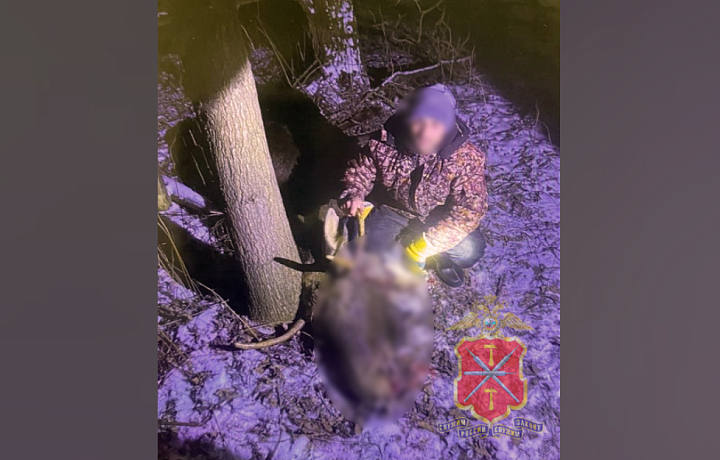 В Тульской области поймали москвича и мигранта, занимавшихся браконьерством: у них нашли целую тушу лося, а также голову и копыта