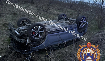 В Узловском районе пьяный водитель на иномарке опрокинулся в кювет