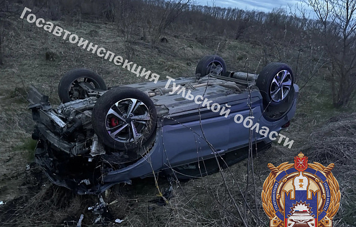 В Узловском районе пьяный водитель на иномарке опрокинулся в кювет