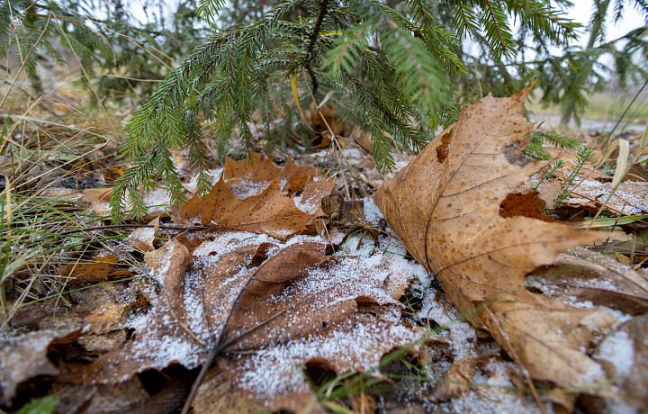 Циклон «Бернвард» может принести в Тульскую область мокрый снег