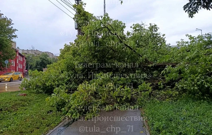 Сильный ливень в Туле повалил дерево и столб на 4-м проезде Мясново