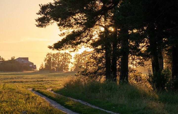 В Тульской области за год увеличился размер зарплат в сфере лесного хозяйства