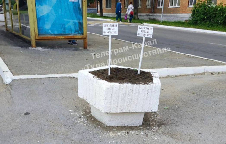 Хулиганов из Щекино Тульской области пристыдили за кражу цветов из клумб