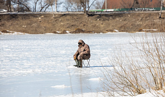 Облачно и около нуля: о погоде в Туле 5 марта