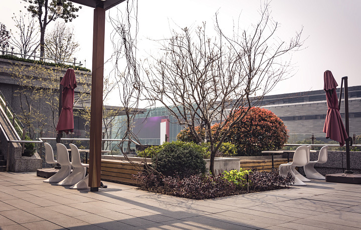 Малоуходность, естественность и всесезонность: ландшафтный дизайнер Юлия Осипова рассказала о садовых трендах 2024 года