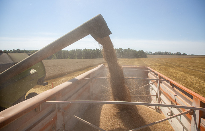 На поддержку тульских аграриев выделяют не менее 2 млрд рублей ежегодно