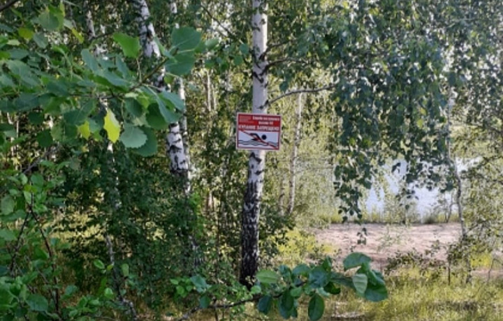 Следователи организовали проверку по факту гибели 16-летнего подростка в водоеме в Богородицком районе