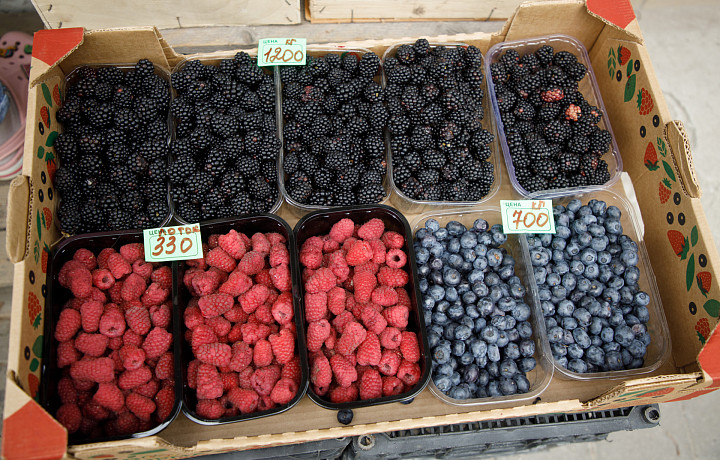 Врач-диетолог рассказала о пользе ягод для профилактики заболеваний