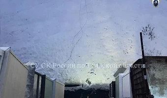 Стало известно состояние упавших из окна малышей в Ясногорске