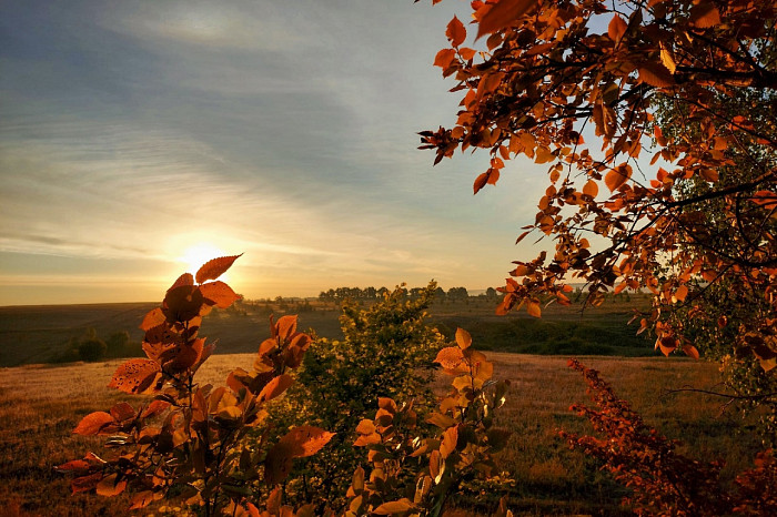 В Тульской области местный житель зафиксировал красивый рассвет
