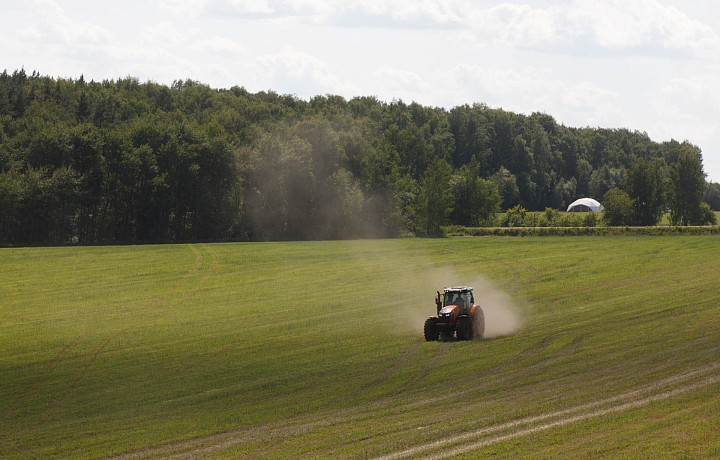 Посевная площадь в Тульской области в этом году составит 960,3 тысяч га