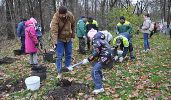 В Центральном парке Тулы высадили более 20 кустов сирени