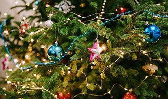 С 9 января в Туле открылись пункты приема новогодних елок