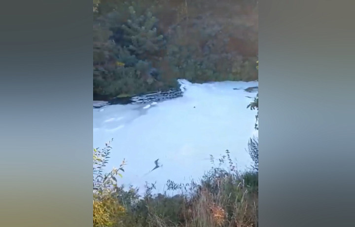 В Тульской области река Мышега покрылась белой пеной из-за сбросов от завода