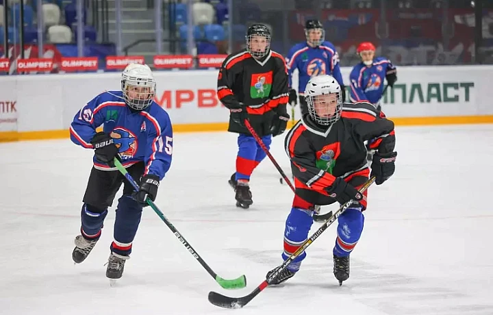 В Туле наградили победителей детского Кубка по дворовому хоккею «Шаг в жизнь»