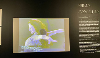 «Я не плакал — я рыдал от счастья. Это был пожар на сцене»: в Туле проходит потрясающая выставка, посвященная Майе Плисецкой