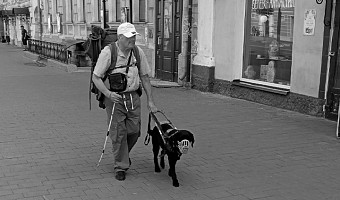 Знаменитого дедушку с баяном из Тулы могли сбить, когда он шёл по обочине дороги ранним утром