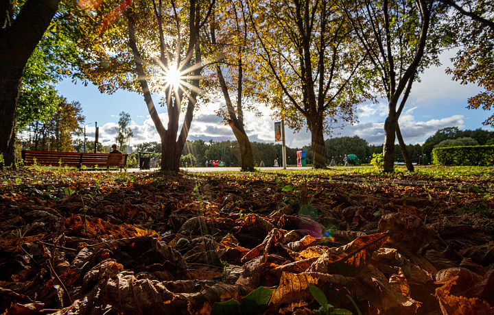 Россиянам рассказали, когда испортится погода в Центральной России