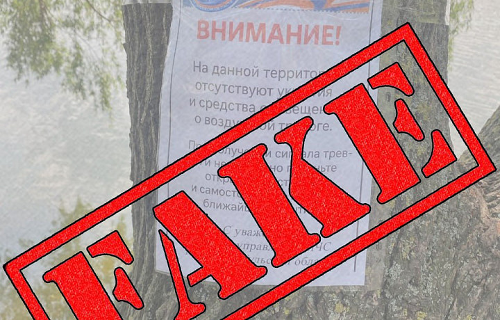 МЧС Тульской области опровергло фейковые объявления на пляже «Ассоль»