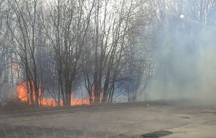 Названы районы Тульской области с большим количеством возгораний травы