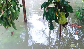 «Не могу пройти даже в высоких сапогах»: туляки продолжают страдать от последствий подтоплений на улице Томпа