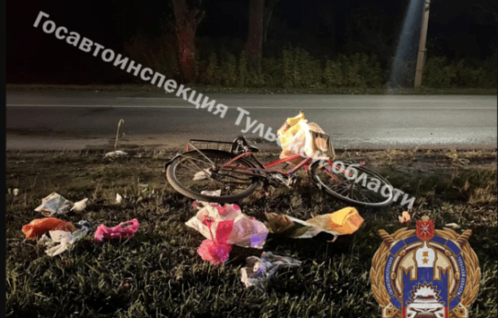 Нетрезвый водитель «ВАЗ» сбил велосипедиста под Новомосковском