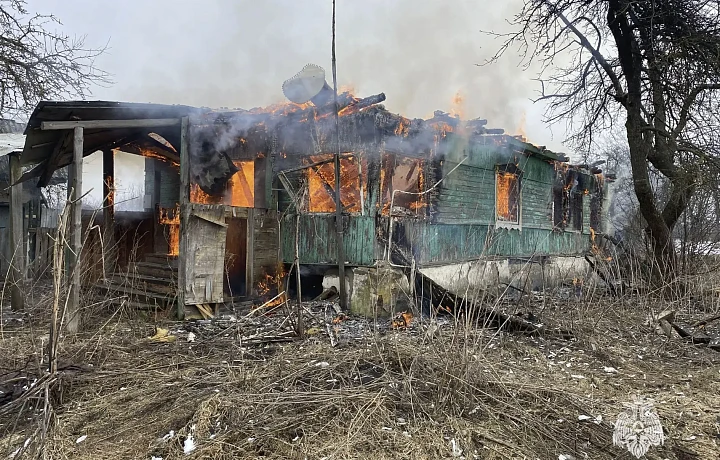 В Тульской области потушили два возгорания 10 апреля