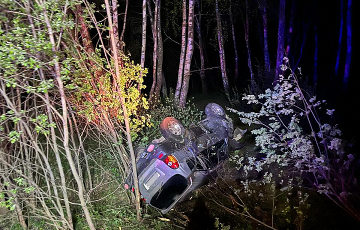 Двое детей и взрослый попали в больницу после ДТП в Ясногорском районе