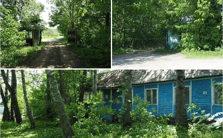 42 заброшки на восьми гектарах: бывший лагерь «Огонек» под Веневом никому не нужен