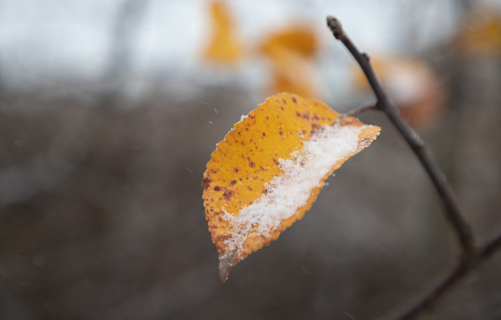 Тулякам рассказали, что нужно сделать 23 октября