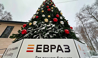 ЕВРАЗ установил елку в центре Новомосковска