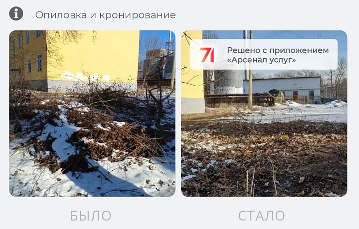 Портал «Открытый регион» решил 429 проблем туляков за семь дней