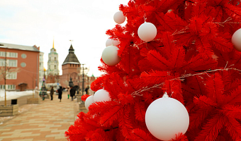 Фестиваль креативных ёлок состоится в Туле