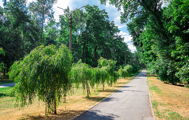 Дорожки и тропинки Рогожинского парка в Туле благоустроят за 21 миллион рублей