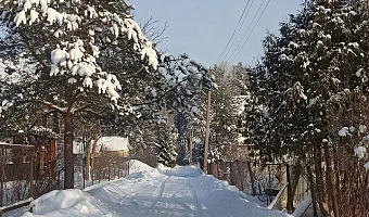 С 2028 года у туляков могут начать изымать дачные участки