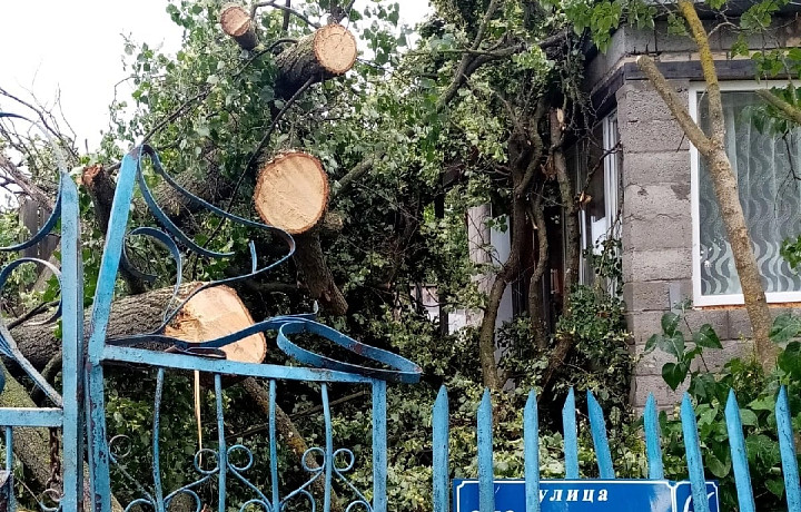 Дерево упало на дом на улице Жаличня в Алексине