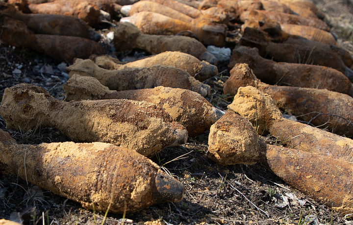 Тульские спасатели нашли и обезвредили артиллерийский снаряд и мину времен ВОВ