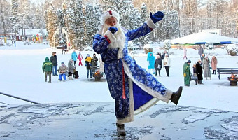 «Зима по-тульски»: Жители отметили Новый год в городских парках