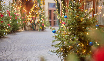 Стало известно, кто получит бесплатные приглашения на новогоднюю елку в Туле