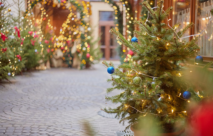 Стало известно, кто получит бесплатные приглашения на новогоднюю елку в Туле