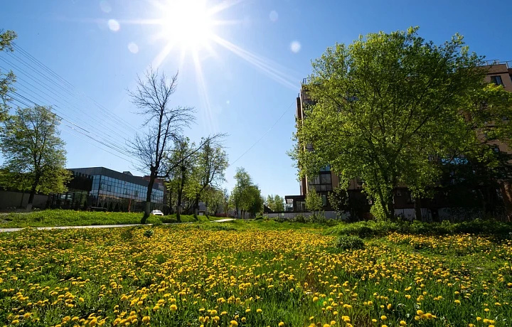 26 августа в Туле ожидается 31-градусная жара и облачно с прояснениями