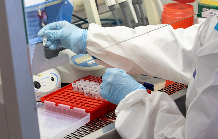 Частные лаборатории начали предлагать анализы на корь в Тульской области