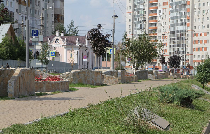 В сквере на улице Кауля в Туле высадят барбарис и пузыреплодник