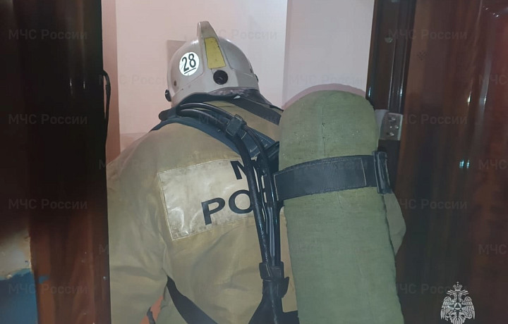 Сотрудники МЧС потушили пожар в жилом доме в Алексине