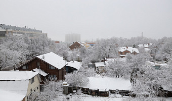 Жителей Тульской области предупредили об усилении ветра и резком потеплении