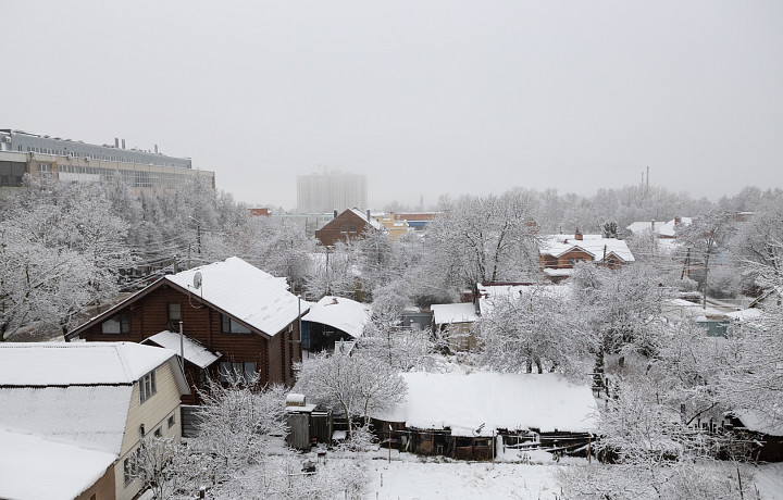 Жителей Тульской области предупредили об усилении ветра и резком потеплении